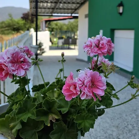 Find Yourself 2 - سيكيا